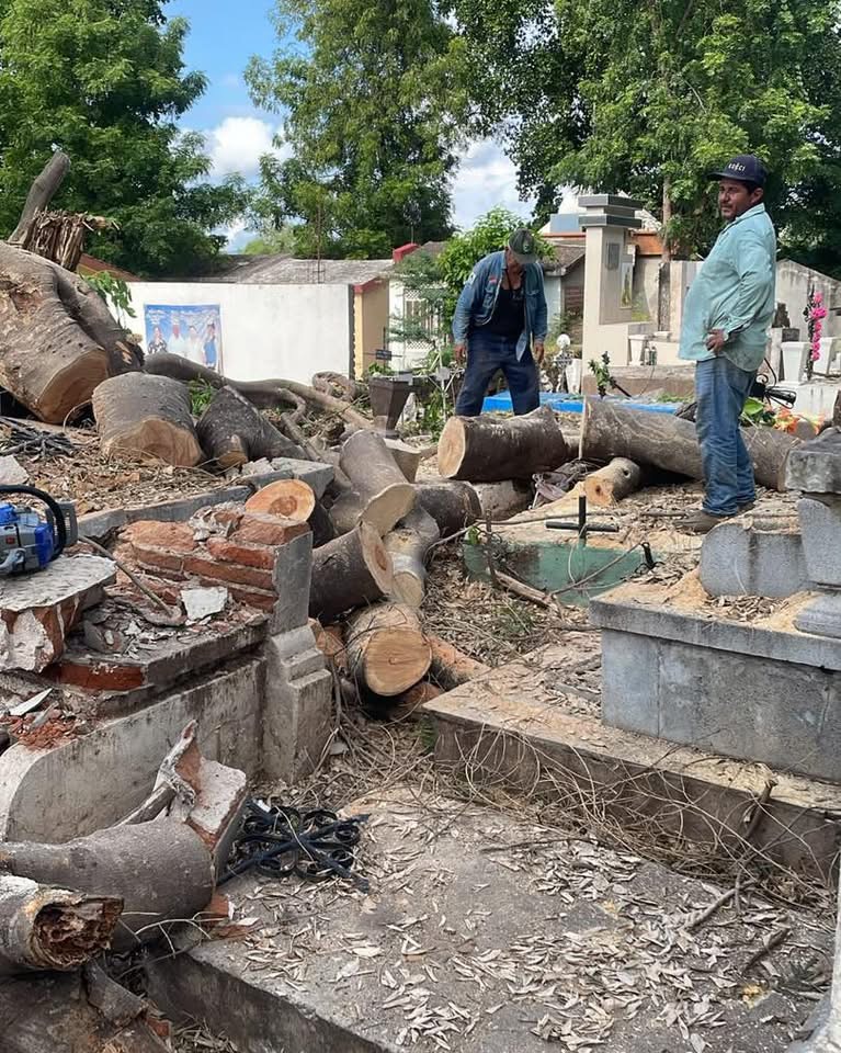 🌳🧹 Continúan los trabajos de limpieza en el panteón de Pericos