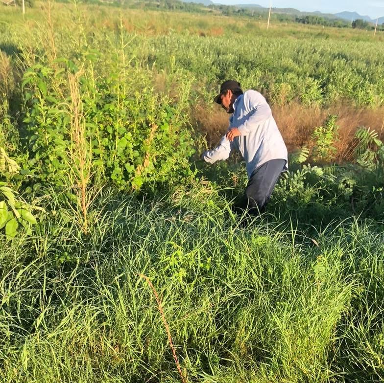 Servicios Públicos continúa con labores de limpieza en la sindicatura de Pericos